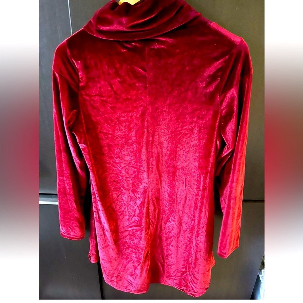 Reborn Womens Long Sleeve Velvet Top  Pullover Stretch Sweater Carmin Color Sz M - Picture 2 of 4